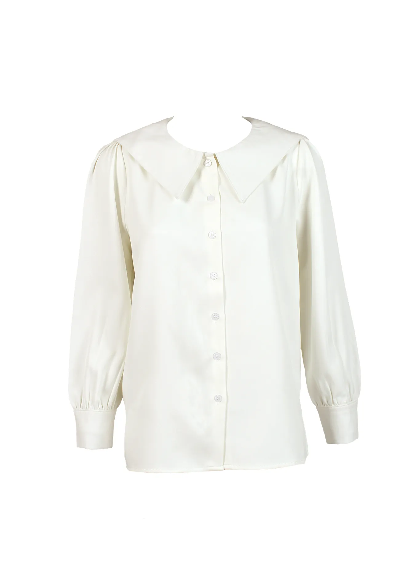 Casual Collar Neck Long Sleeves Blouse